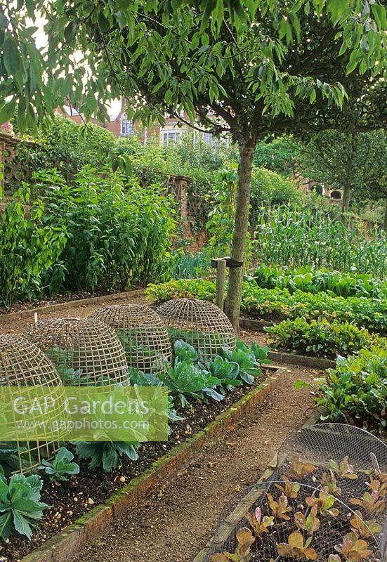 Potager dans le jardin clos - Hatfield House, Hertfordshire