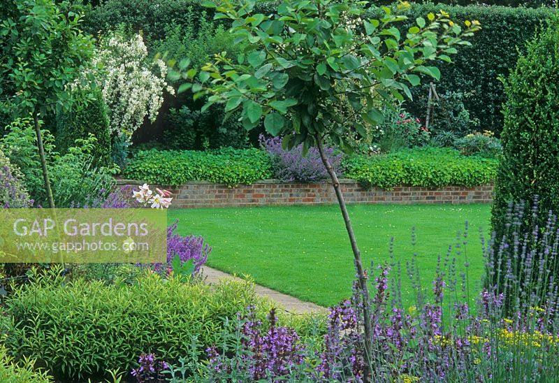 Parterres de fleurs rasied avec Nepeta, Lavandula et Lilium - Le jardin parfumé, Hatfield House, Hertfordshire