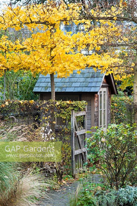 Cabane d'été avec portail rustique et érable champêtre