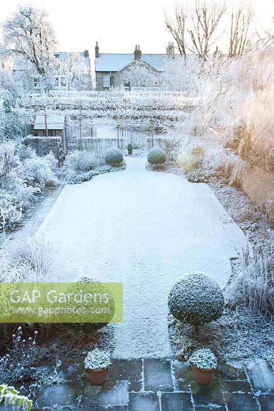 Jardin de ville formel gelée blanche - Cambridge