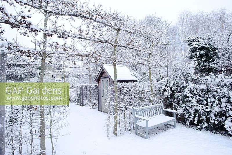 Jardin de ville formel avec première neige. Pavillon d'été, érables des champs et banc blanchis - Cambridge