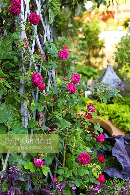 Parterres de fleurs surélevés dans le jardin potager avec une rose grimpante sur des obélisques sous-plantés d'herbes - 'Le jardin des investissements M et G', médaille d'argent doré, RHS Chelsea Flower Show 2011