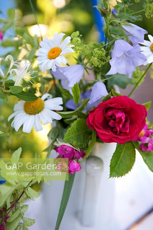Fleurs coupées dans un vase - Marguerite, Campanule, roses et manteau de dame