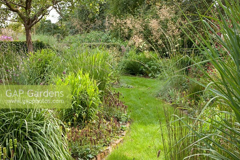 Voies herbeuses et Stipa gigantea, Molinia arundinacea et Chasmanthium latifolium - Ruinerwold Garden