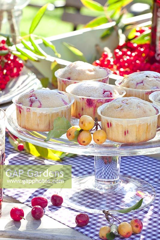 Muffins aux baies de sureau sur un support à gâteau en verre