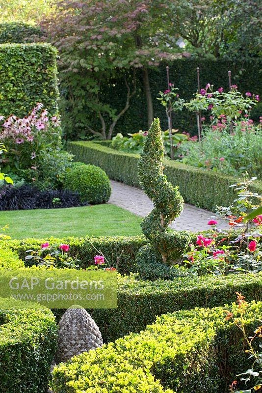 Haies coupées de Fagus sylvatica et topiaire Buxus - Huys en Hof