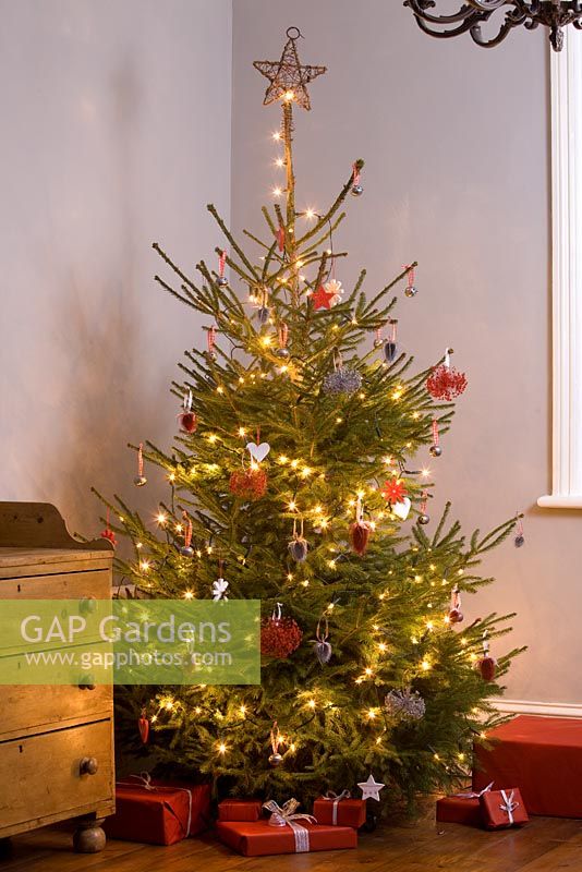 Faire des décorations d'arbre de Noël faites maison avec des têtes de semences pulvérisées - L'arbre fini avec des décorations