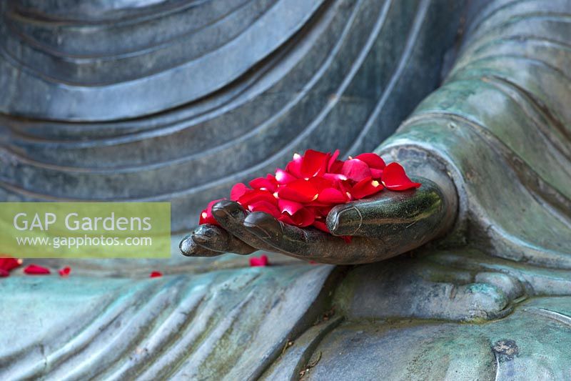 Pétales de rose rouge sur une grande main de Bouddha de jardin