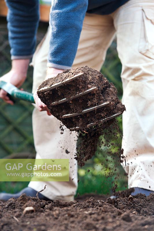 Jardinier creusant, retournant et aérant le sol dans un potager avec une fourche de jardin