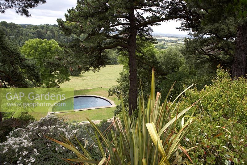 Vue à travers les pins de Monterey jusqu'à 'The Lower Garden' à Kiftsgate Court Gardens, avec une piscine en forme de demi-lune.