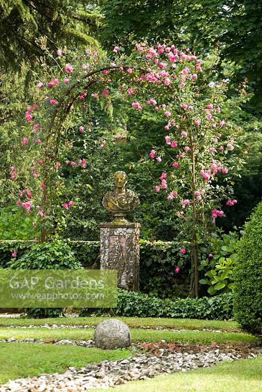 Rosa 'Dorothy Perkins' - Jardin Grazzano Visconti, Plaisance, Italie