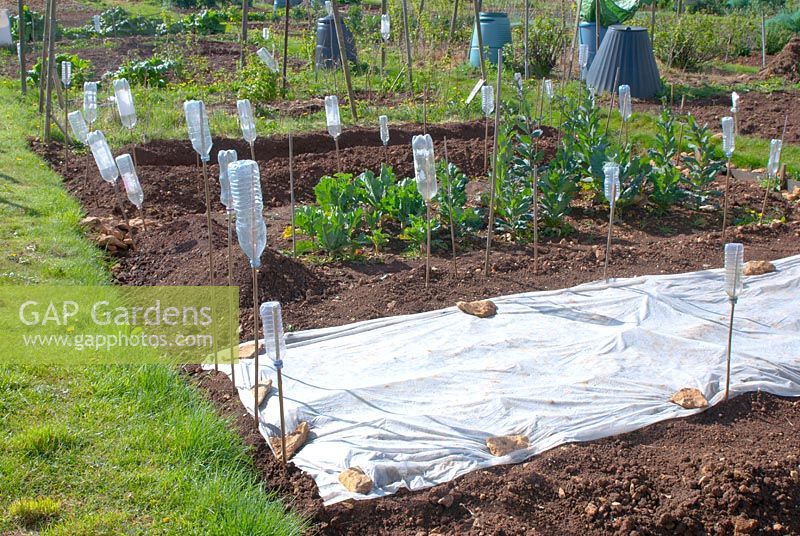 Revêtement plastique sur bordure végétale afin de réchauffer le sol, avant semis, sur un lotissement