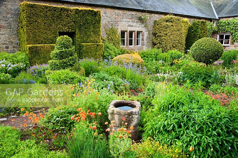 Le jardin de fleurs comprend de solides blocs de boîte et d'if qui encadrent les plantes et les fleurs du jardin, y compris les coquelicots, les géraniums, les polémoniums et le geum - Herterton House, Hartington, Northumberland, Royaume-Uni