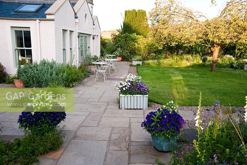 Chemins de pierre et pelouse autour de la maison parsemée de pots et jardinières contenant des altos - Mindrum, nr Cornhill on Tweeds, Northumberland, UK