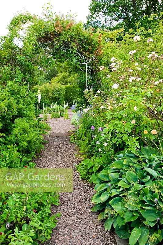 Arcade métallique décorative sur chemin de gravier encadre une vue de digitales blanches avec des hostas, chèvrefeuille et roses arbustives - Mindrum, nr Cornhill on Tweeds, Northumberland, UK