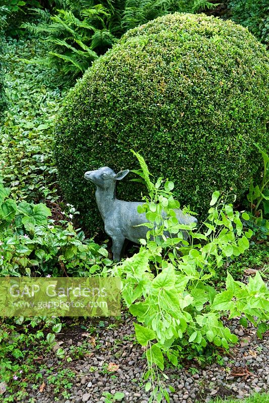 Sculpture de fauve contre boîte écrêtée dans la zone ombragée du jardin avec des fougères derrière - Mindrum, nr Cornhill on Tweeds, Northumberland, UK