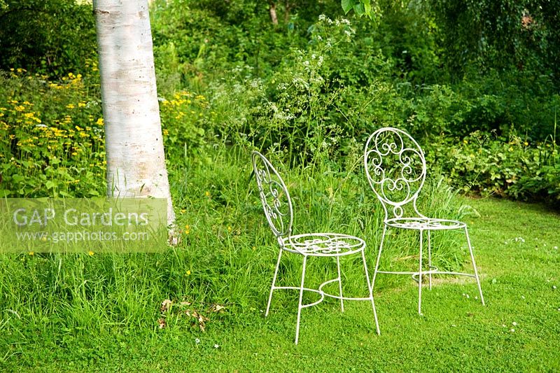 Une paire de chaises en métal sur le bord de la pelouse, à côté de l'herbe plus longue et de la plantation naturaliste sous les bouleaux argentés - Mindrum, nr Cornhill on Tweeds, Northumberland, UK