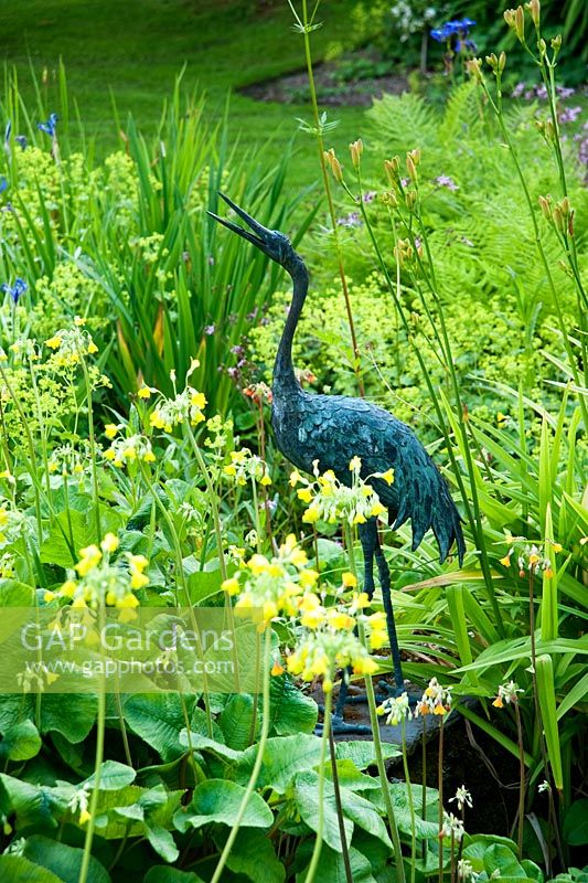 Statue de héron à côté de l'étang entouré de Primula grandiflora, Iris, Alchemilla mollis et fougères - Mindrum, nr Cornhill on Tweeds, Northumberland, UK