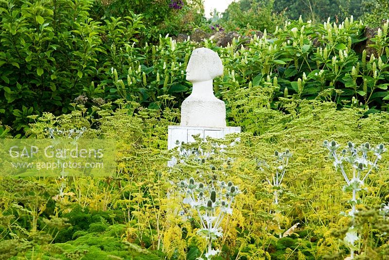 Tête de pierre de Portland sculptée par l'artiste local Tom Clark, parmi une masse d'Eryngium giganteum, fougère Ligusticum lucidum sur fond de Phytolacca americana blanc - Yews Farm, Martock, Somerset, UK