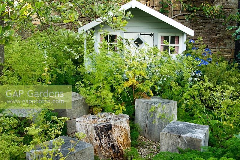 Eryngium x giganteum auto-ensemencé et Ligusticum lucidum frame wendy house et cubes en bois qui servent de sièges ou de tables - Yews Farm, Martock, Somerset, UK