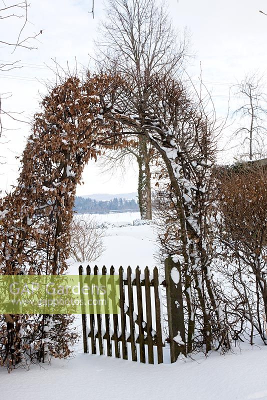 Un arc de charme avec une porte en bois sépare un jardin de campagne du paysage