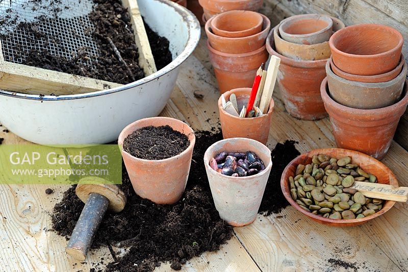 Table de rempotage avec pots de fleurs en terre cuite, saboteuse, tamis, fèves et fèves