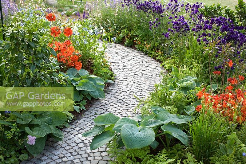 Chemin de pierre pavé entre les parterres de Aquilegia vulgaris 'Munstead White', Aquilegia vulgaris var. stellata 'Blue Barlow', Amsonia tabernaemontana var. salicifolia, Nepeta, Geum, Salvia et fougères