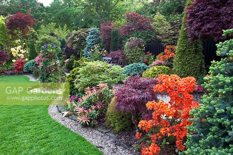 Parterres de fleurs colorées sur le thème oriental de conifères, azalées et Acers - Four Seasons Garden, Walsall
