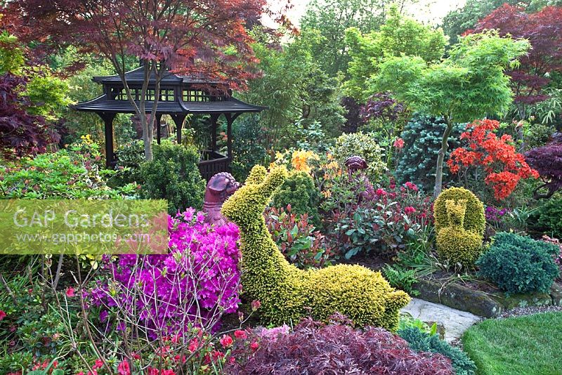 Jardin à thème oriental coloré avec des conifères, Pieris, Azalées et Acers avec topiaire en forme d'animaux - Four Seasons Garden, Walsall