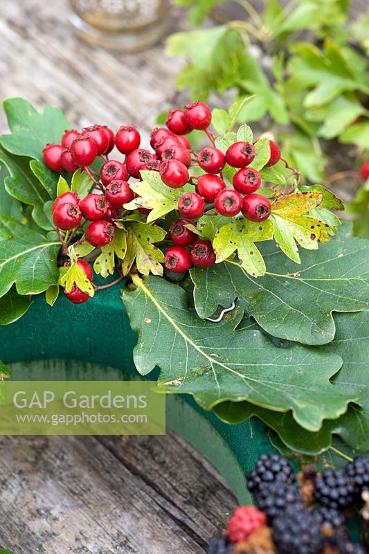 Faire une couronne d'automne à partir de matériaux naturels fourragers - Placer le feuillage et les baies