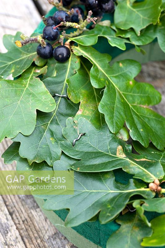Faire une couronne d'automne à partir de matériaux naturels fourragers - épingler des feuilles