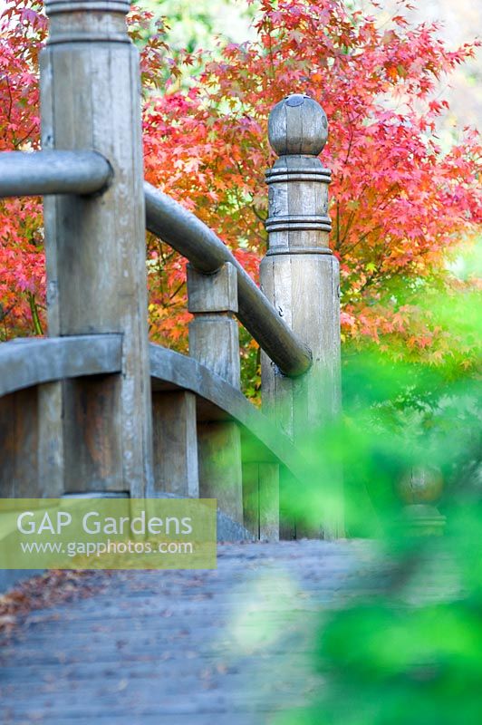 Pont en bois dans le jardin japonais, Wroclaw