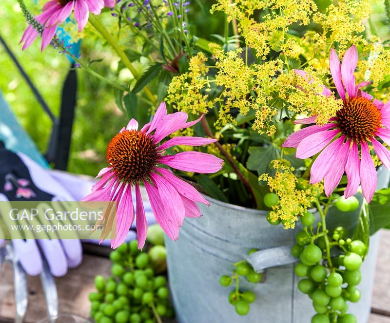 Sur une table en bois un vase avec coneflower, Ladys Mantle et raisins. Également sur la table, des gants de jardinage et une fourchette à main. En arrière-plan une chaise de jardin turquoise colorée.