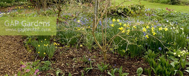 Parterre de printemps - Broadleigh Gardens