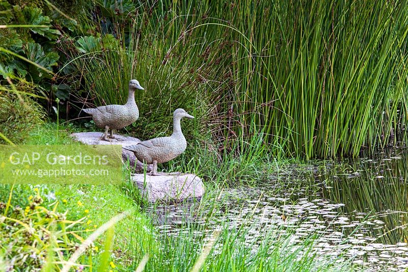 Sculptures de canard par étang