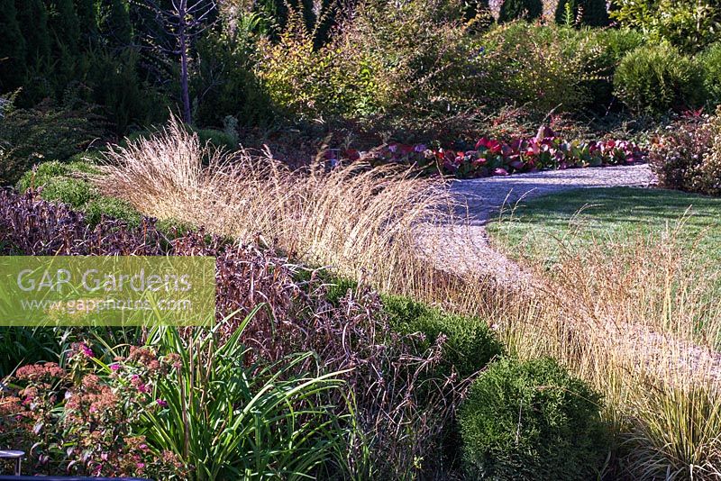 Jardin moderne avec des herbes ornementales