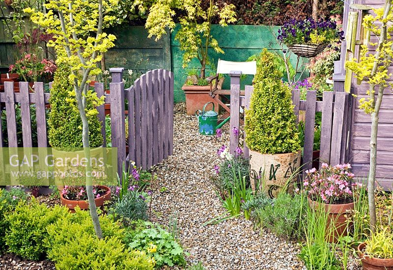 Clôture et portail traités avec du bois de lavande, arbres et arbustes matures au feuillage vibrant, panier suspendu de couleur gratuite - High Meadow Garden à la fin du printemps, Staffordshire