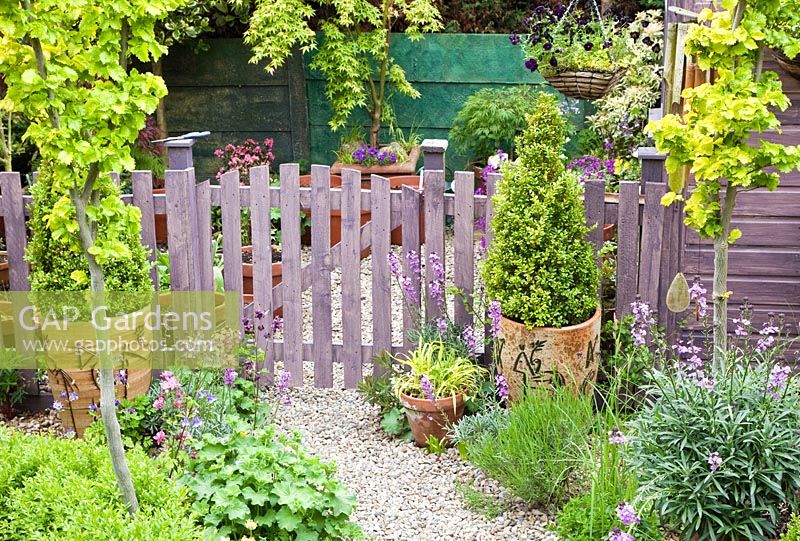 Piquet de clôture et portail traité avec du bois de lavande, des arbres et des arbustes matures au feuillage vibrant - High Meadow Garden à la fin du printemps, Staffordshire