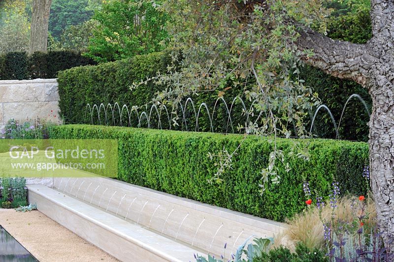 Fontaines placées dans une haie d'ifs dans un jardin à l'italienne