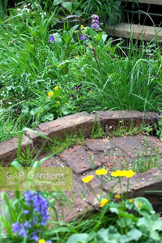Le jardin du refuge du berger de Plankbridge. Un jardin de fleurs sauvages avec une authentique cabane de berger réduite