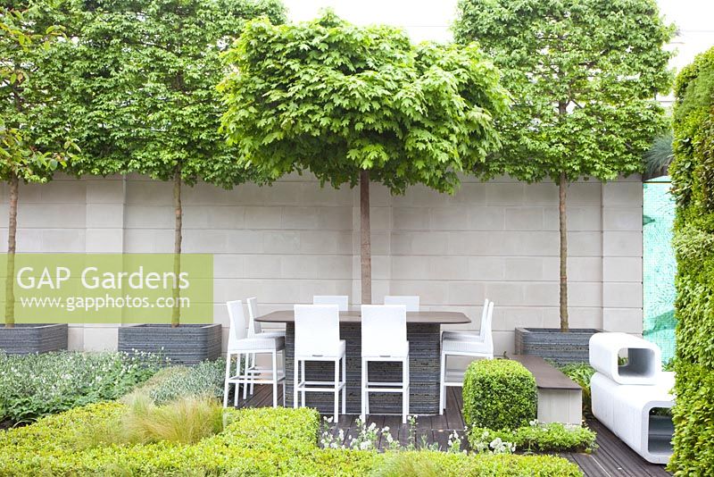 Acer campestre, Acer platanoides Globosum, Buxus et Geranium - Le jardin du lieu de travail de demain - RHS Chelsea Flower Show 2012