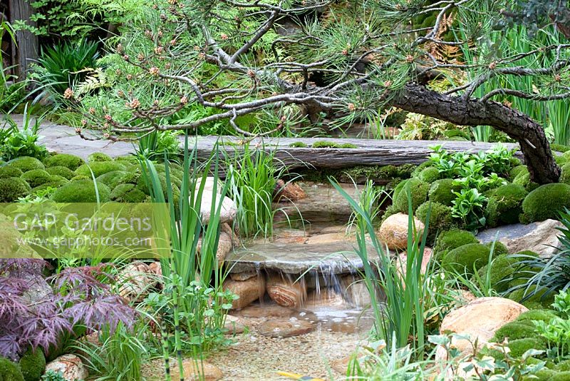 Monticules de mousse et cascade de galets décoratifs dans un jardin japonais traditionnel dans le quartier de Satoyama, Satoyama Life - Artisan Garden