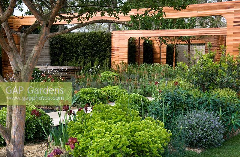 Jardin Homebase Teenage Cancer Trust, lauréat de la médaille d'or - RHS Chelsea Flower Show 2012