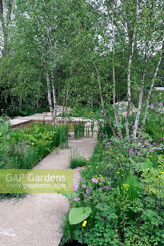 The Telegraph Garden, médaillé d'or, RHS Chelsea Flower Show 2012. Chemin de calcaire concassé dans un jardin boisé