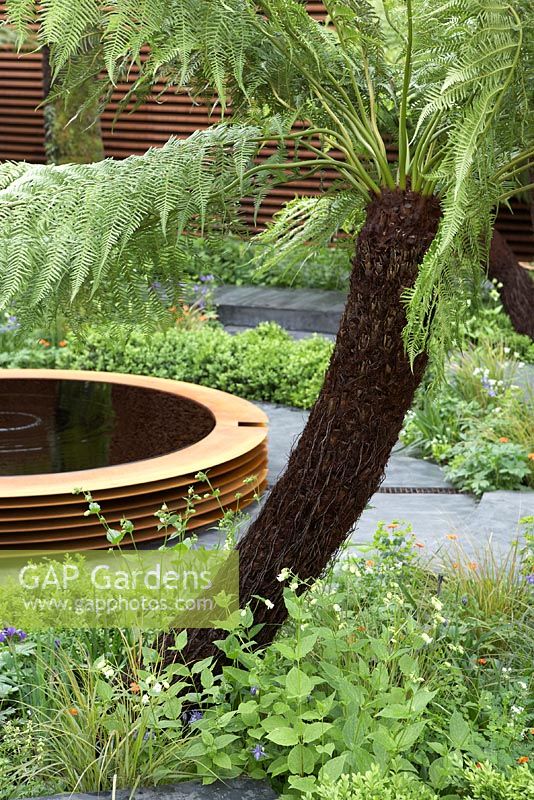 Le Jardin de Vision Mondiale. Piscine à vagues circulaire et fougères arborescentes, Chelsea Flower Show 2012.