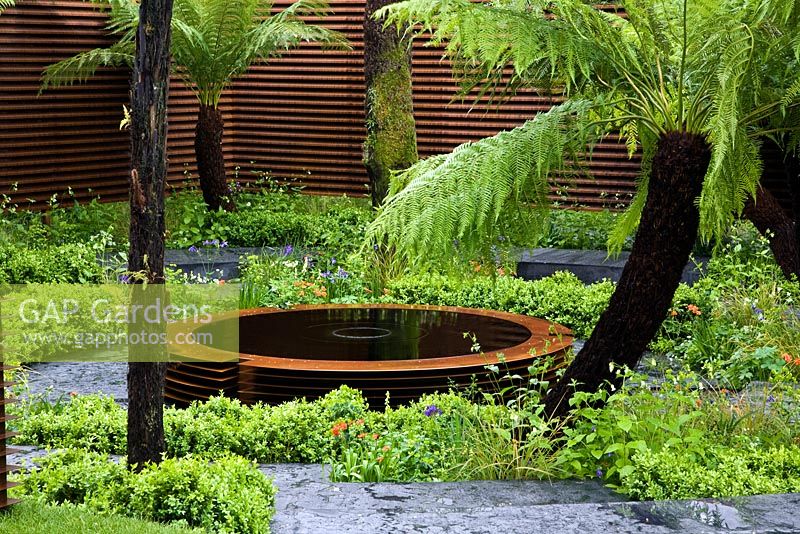 Le jardin World Vision avec une pièce d'eau centrale pour la piscine. Plantation verdoyante de fougères arborescentes. Les autres plantes comprennent Lupinus mutabilis, Geum 'Borisii', Iris sibirica et Aconitum 'Ivorine '.