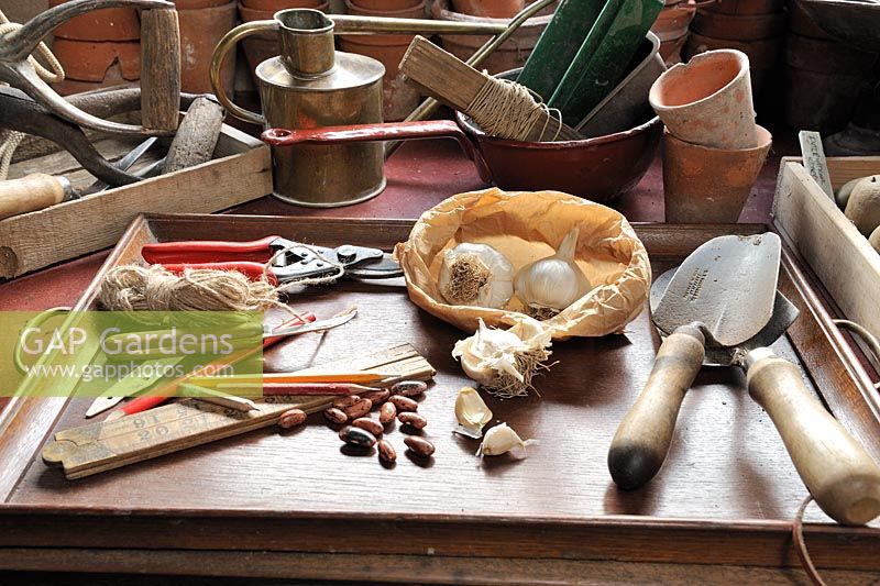 Table de rempotage avec plateau d'ail et outils de jardinage, mars