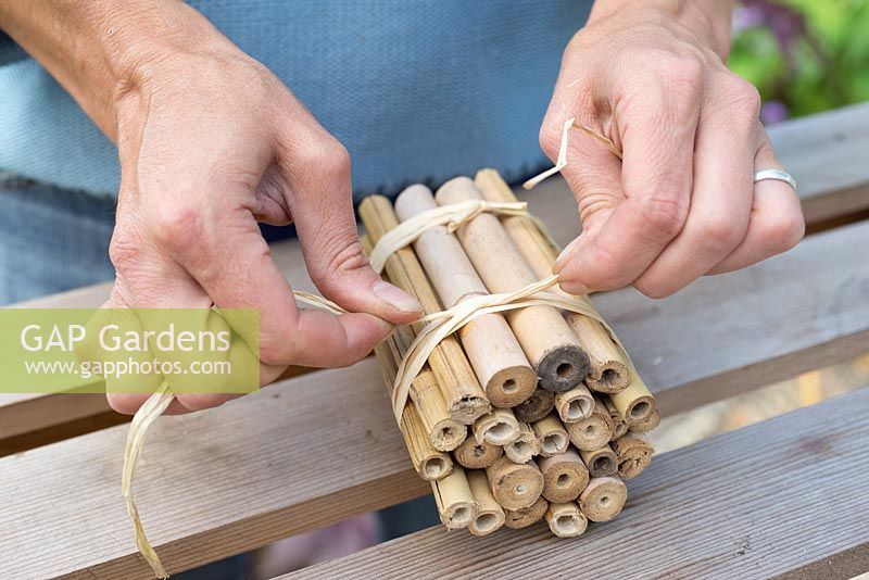 Étape par étape pour créer et suspendre un habitat d'insectes - attacher ensemble des cannes de bambou préparées