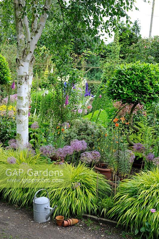 Petit jardin en été avec des fleurs de jardin, des herbes, des lauriers, des alliums ornementaux et des lillies en pot