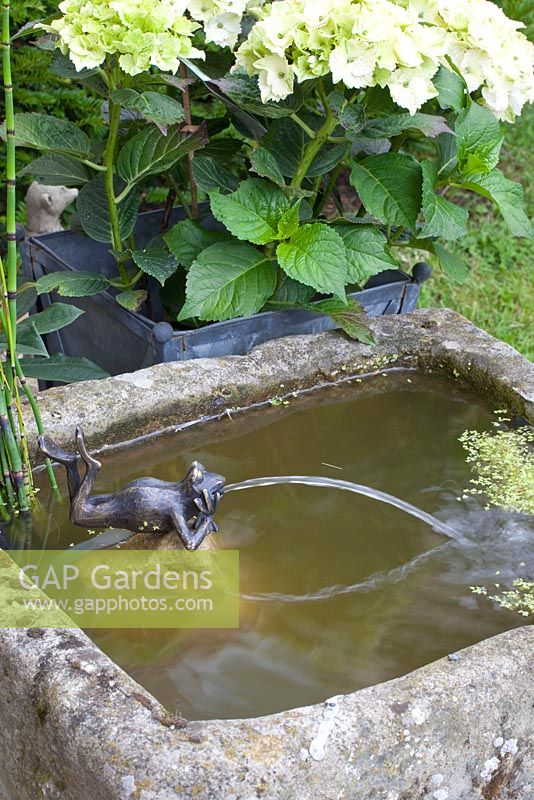 Mini étang avec gargouille de grenouille